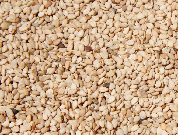 Sesame Seeds