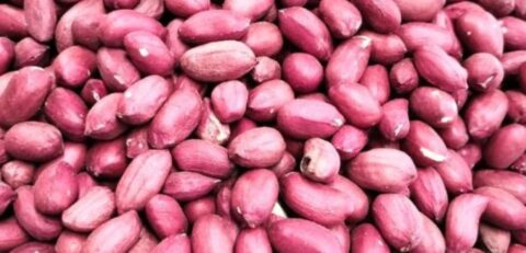 Red Groundnuts
