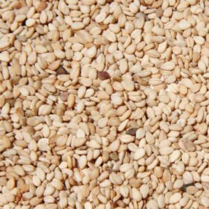Sesame Seeds