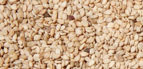 Sesame Seeds