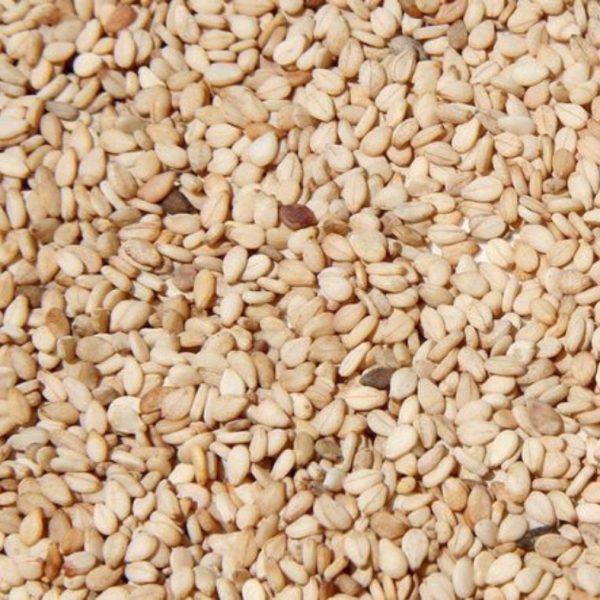 Bulk Sesame Seeds ready for export